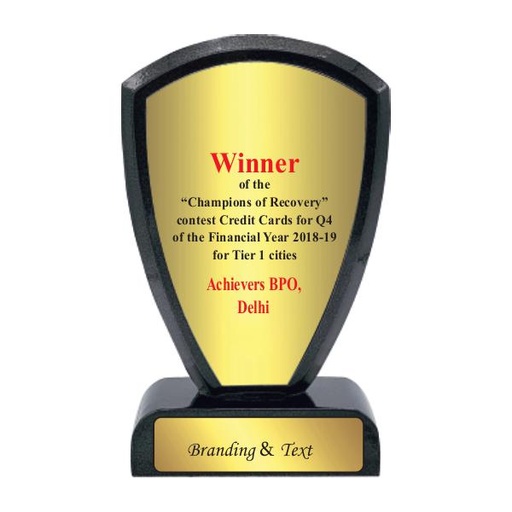 Wood & Metal Trophy WM 9878